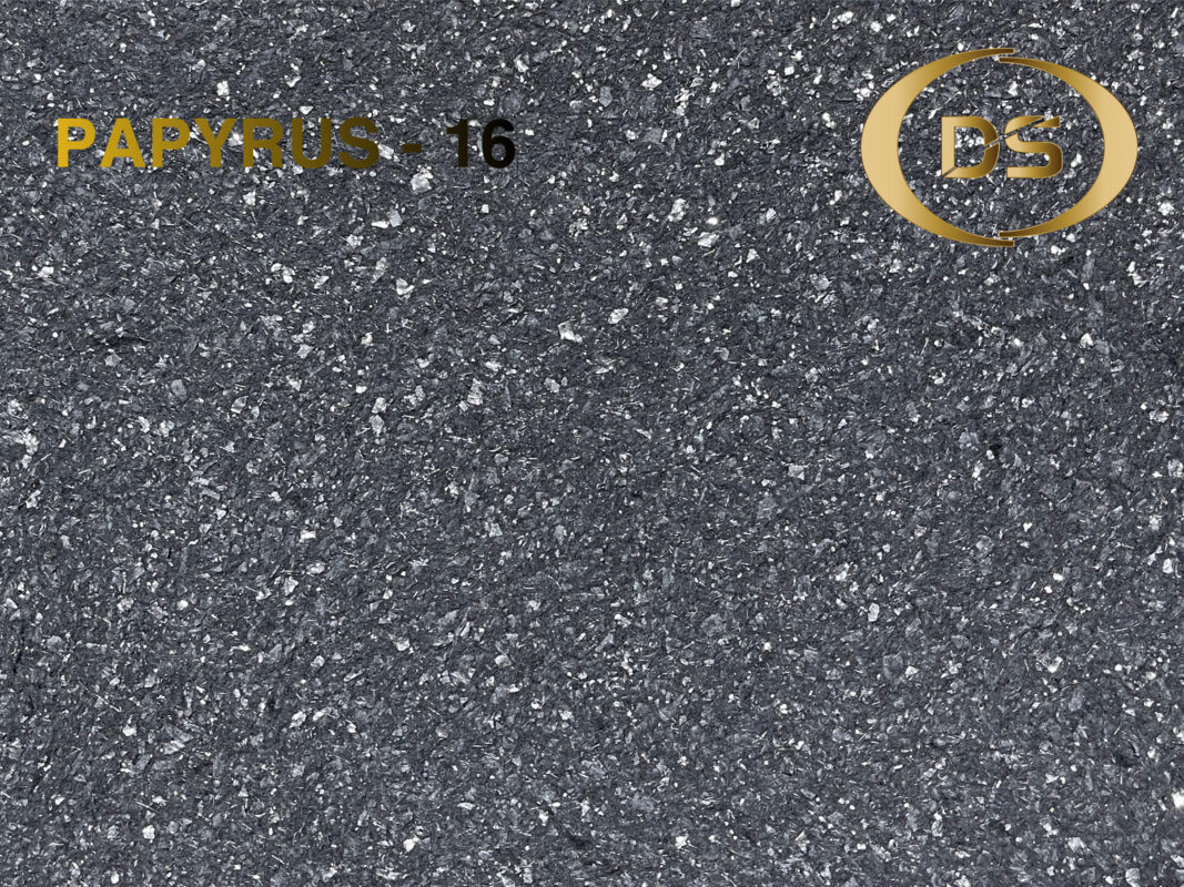 Papyrus 16